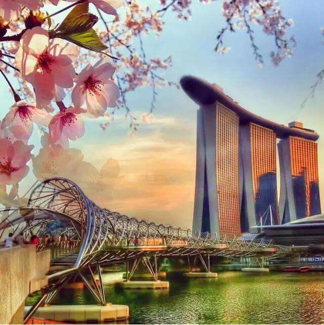 努比亚(nubia) Z17S